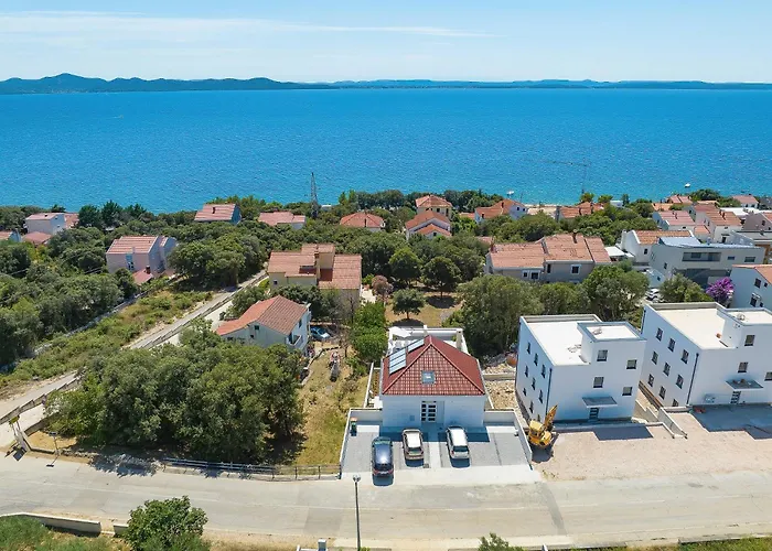 Vidalis, No 2